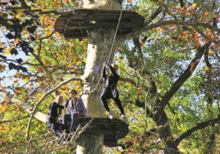 Accrobranche et sauts